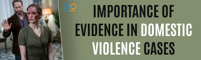 Importance of Evidence in Domestic Violence Cases